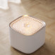 Smart Cat Water Fountain