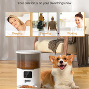 Cat Smart Dog Automatic Pet Feeder