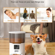Cat Smart Dog Automatic Pet Feeder