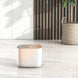 Smart Cat Water Fountain
