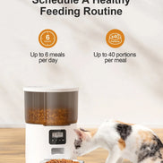 Cat Smart Dog Automatic Pet Feeder